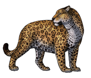 Jaguar PNG-20757